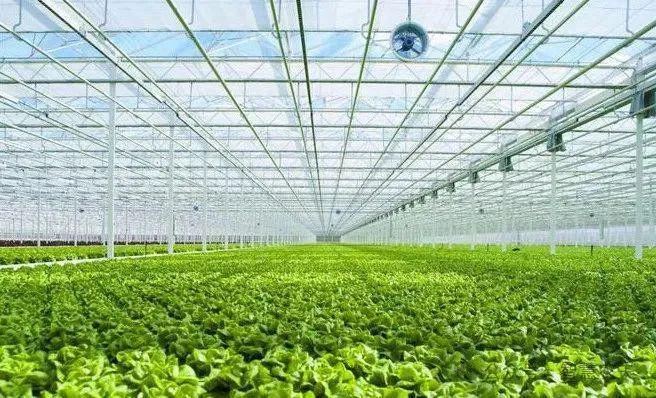 发展设施农业，推动农业技术革新