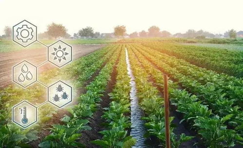 数字乡村直通车 全国政策盘点与农业种植技术开发新机遇