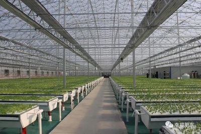 科技赋能，田园生辉 肥东现代农业示范园即将盛大开园