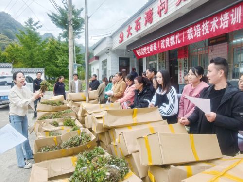 小浆果孕育大产业 以农业种植技术开发驱动乡村经济新增长