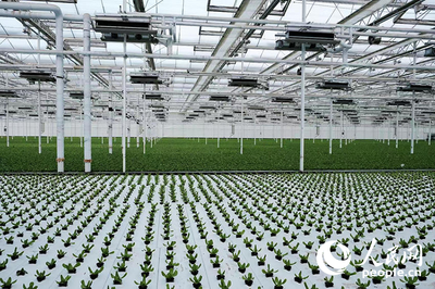 科技赋能农业 杨凌示范区智慧农业蔬菜基地引领种植技术新革命