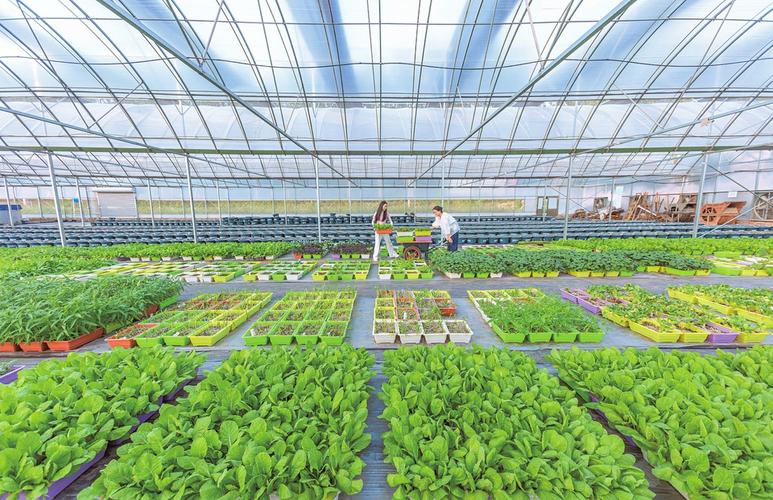 技术破局农业利润困局:玄晶引擎ai数字化解决方案的架构设计与落地