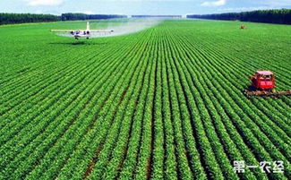 农业科技 现代农业发展的核心引擎——种植技术创新与应用
