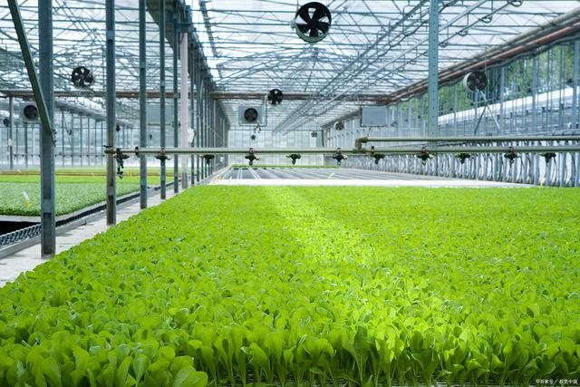 智慧农场小程序开发 引领农业新时代的创新与变革