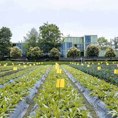 智慧生态日光温室种植实施方案 物联网蔬菜大棚整体设计方案